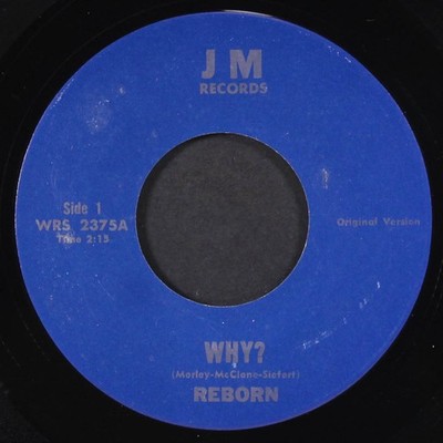 REBORN: why? / goody-goody gum drops JM 7'' Single 45 RPM
