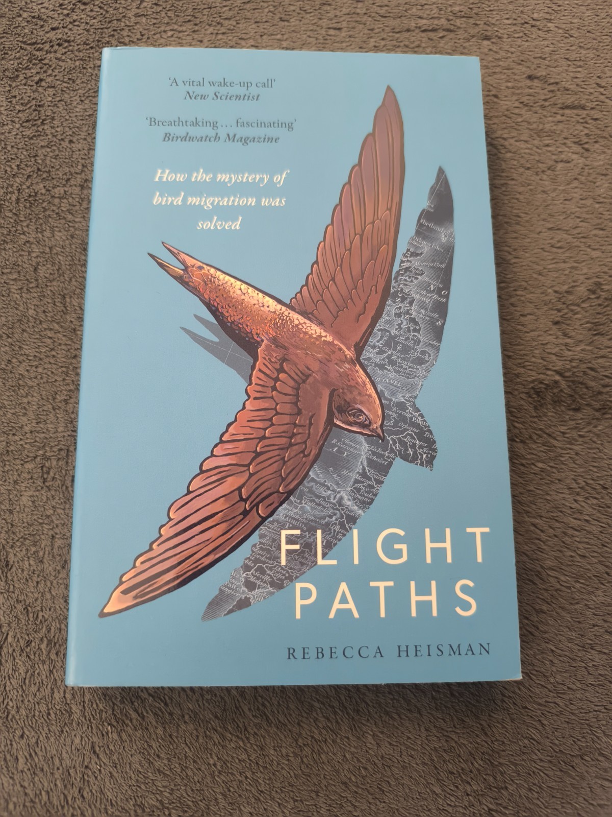 Flight Paths by Rebecca Heisman (Paperback) NEW - Free P+P