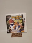 Hometown Story - Nintendo 3DS Game By Natsume New Sealed