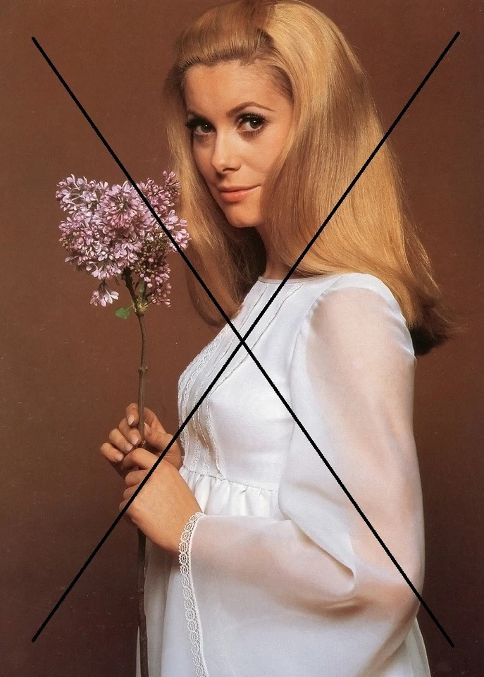 PHOTO DE CATHERINE DENEUVE - Photo 1/1