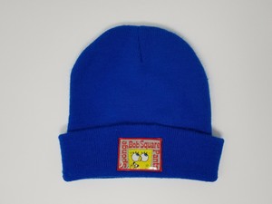 nickelodeon beanie