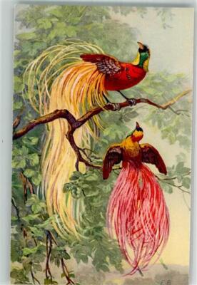 39828944 - Bird of Paradise signed E.B. St.Z.F. No.1311 Bird