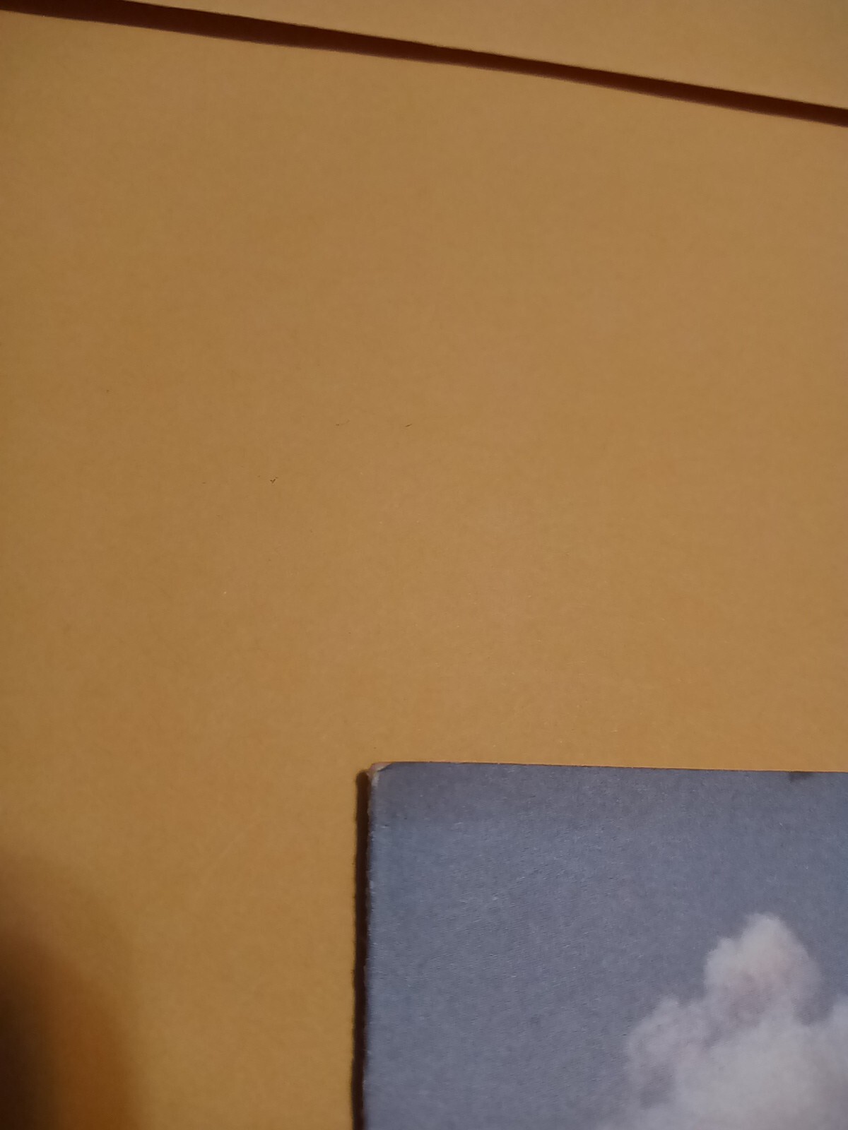 Picture 4 of 24