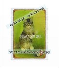 CORTICELLI SILK THREAD kitten metal tin sign reproduction mancave