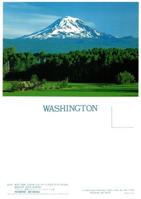 Vintage Postcard Mount Adams Washington Cascade Mountains