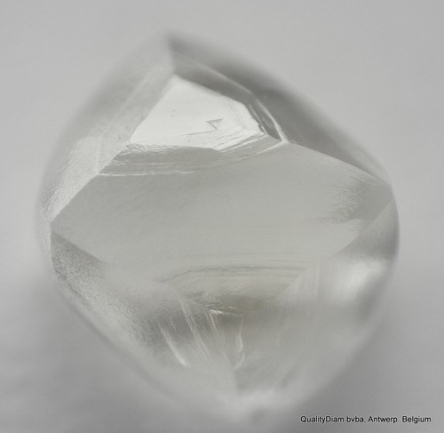 G IMPECABLE BLANCO LIMPIO 0,73 QUILATES DIAMANTE EN BRUTO NATURAL, DIAMANTE GENUINO SIN CORTAR - Imagen 6 de 6