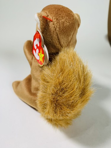 TY Beanie Baby - NUTS the Squirrel (5.5 inch) - MWMTs Stuffed Animal Toy - Picture 3 of 6