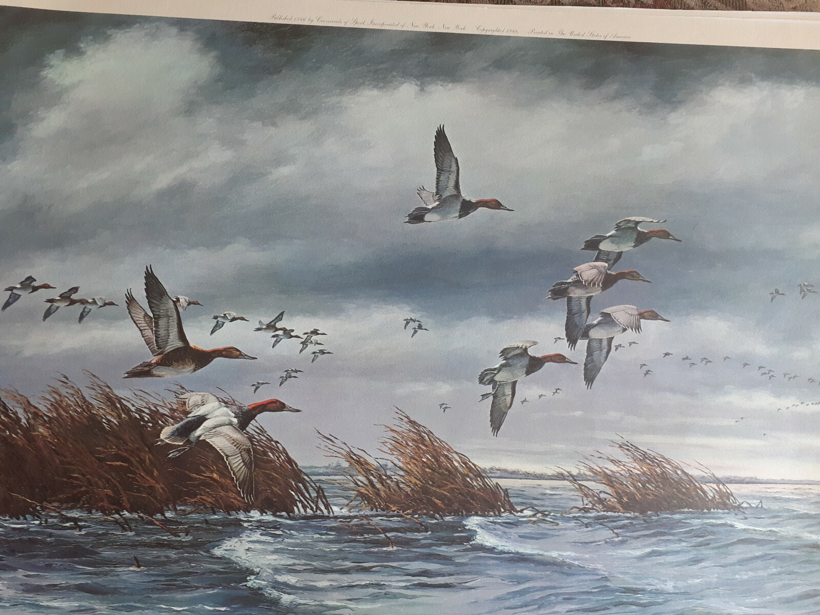Picture 3 of 10