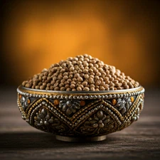 Coriander Seed Organic Spice - Cilantro - Free Shipping - USA