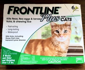 ebay frontline for cats