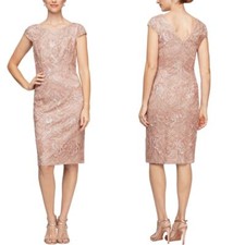 NEW Alex Evenings cap sleeve Embroidered Sequin Lace Dress, 14