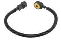 NTY Sensor Motorklopfen Klopfsensor FÜR Motor 2.7 Hyundai Santa FÉ Ii; KIA