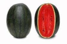 Premium Black Diamond Watermelon - Fresh Heirloom Seeds  Beautiful and Delicious