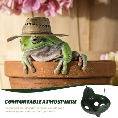 Habitat De Grenouille Aquatique Plate-forme Pavage Des tendance Cachettes Reptiles