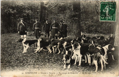Chasse de courre Compiegne Equipage de Chézelles La Meute Hunting