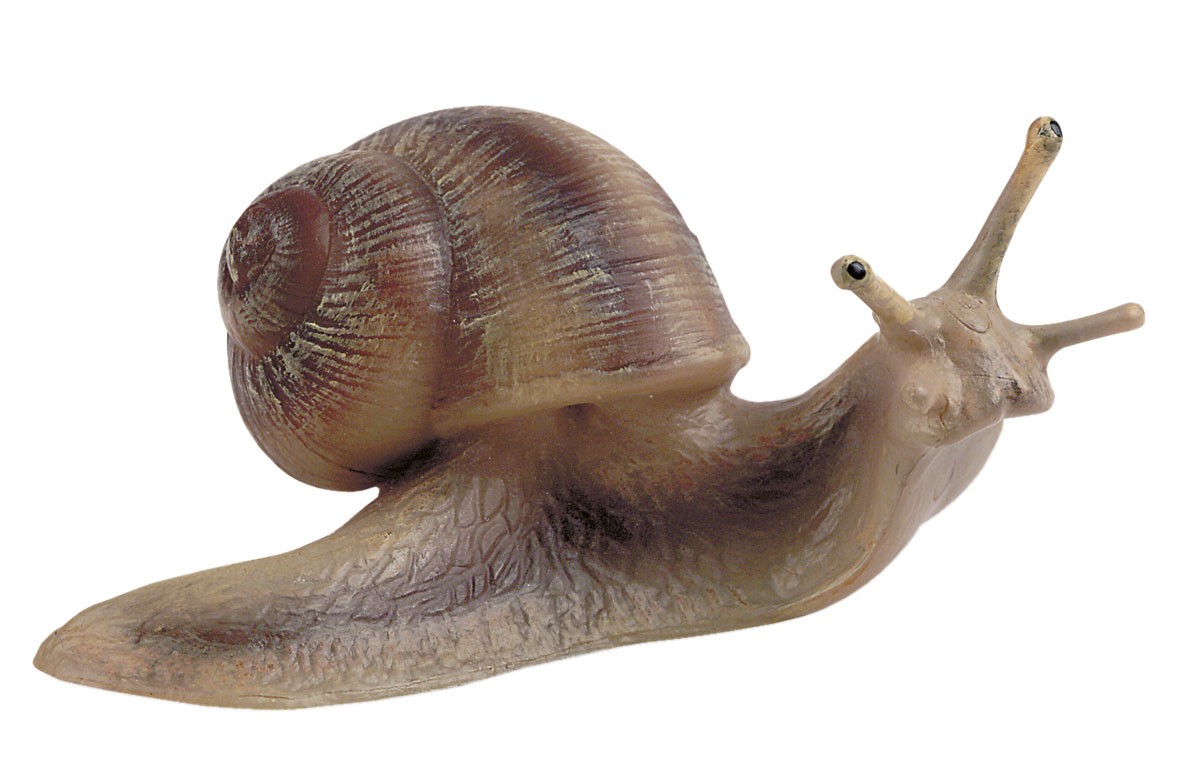 Bullyland 64375 Garden Snail 9 Cm Wild Animals