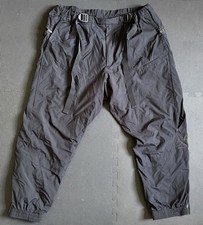 ACRONYM P53-WS