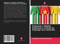 Moustapha Ibrahim Mahamat | Pequenas E MéDias Empresas E CriaçãO De Emprego...