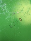 Foto 8 di 8