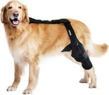 Dog Knee Brace for Torn ACL, Leg Brace for Cruciate Ligament, SmallArthritis Rel