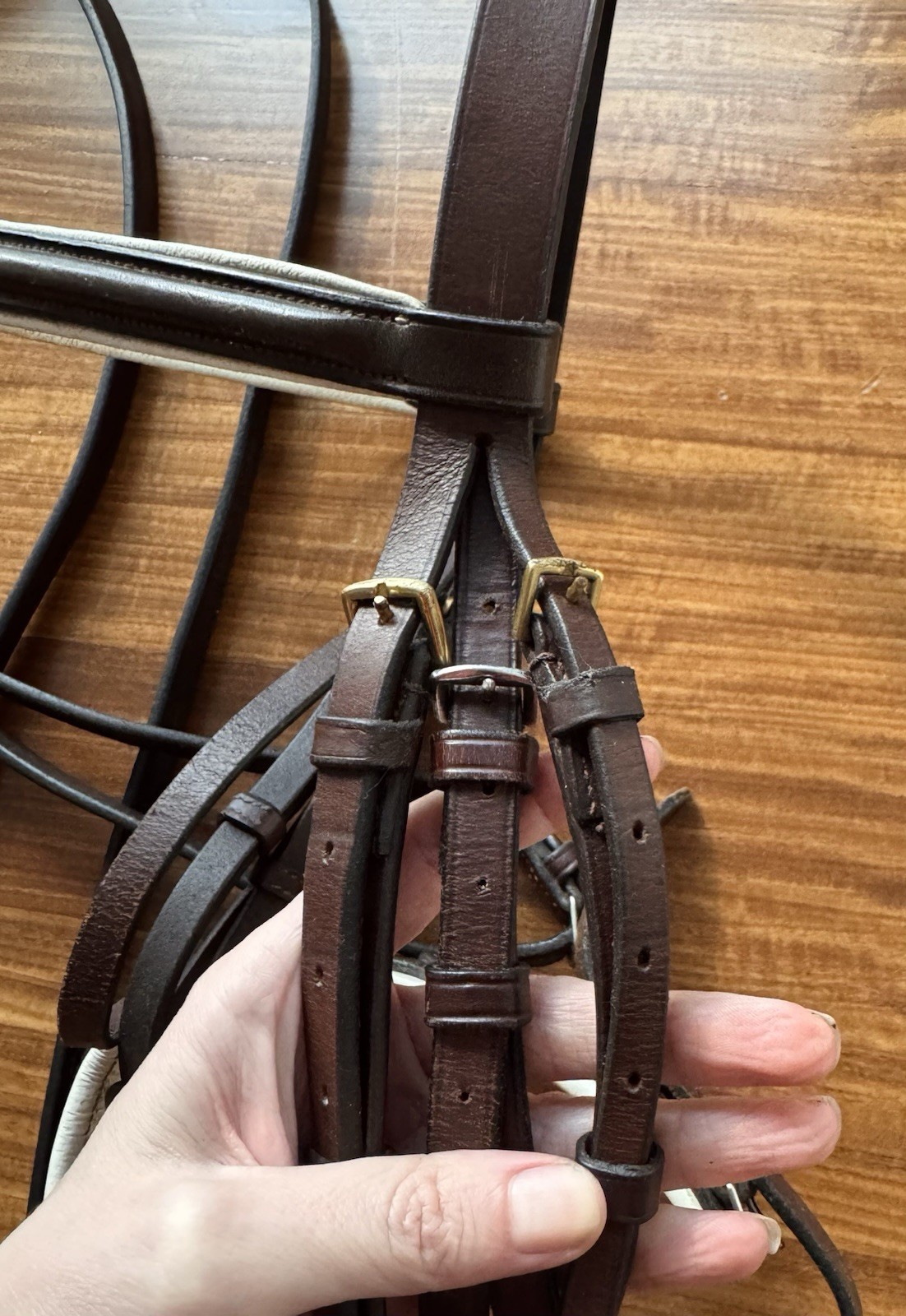 Brown And White Xtra Full Dressage Bridle With Brass & Bobby’s Plain Reins