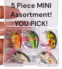 5 CRANKBAIT FISHING LURES with CASE- MICRO SMALL MINI - BRAND NEW - YOU PICK