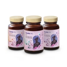 5904708716636 ThyroMe Pro Morning&Day&Night równowaga układu immunologic