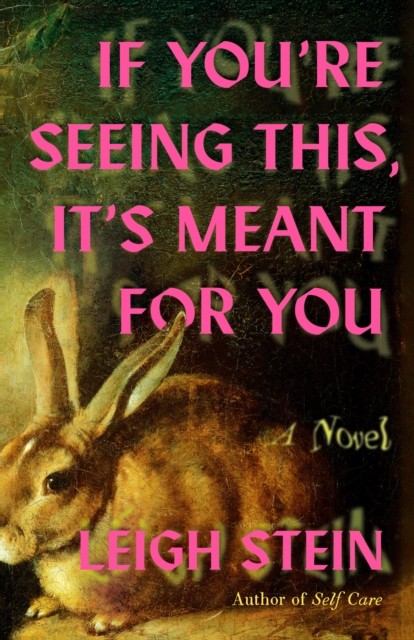 If You're Seeing This, It's Meant for You: A Novel - Image 3