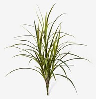 artplants Kunst Schilfgras Hanni Auf Steckstab, HellgrüN, 80Cm