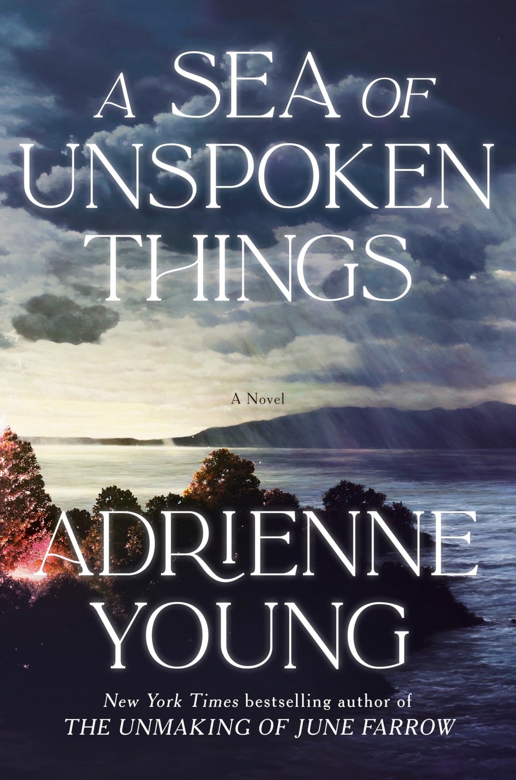 A Sea of Unspoken Things: A Novel by Young