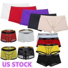 Mens Sexy Lingerie Bikini Sheer Mesh Boxer Briefs Soft Underwears Underpants