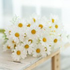 Photo 7/20