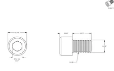 1/4-28 Socket Head Cap Screws Allen Hex Drive Stainless Steel Bolts All Lengths