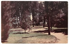 Piney Ridge Lodge, Pine River, Minnesota MN Postcard - Whitefish Lake