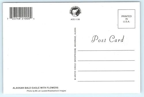 Alaska Bald Eagle Standing With Flowers Side View Postcard - Picture 3 of 4