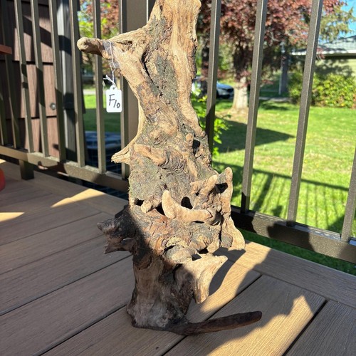 Baumförmiges Treibholz 21x9 Atemberaubende Bio Holz Terrarium Aquascaping Deko - Bild 8 von 8