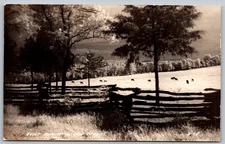 RPPC Fence And Heard In The Ozarks Real Photo Vintage Postcard