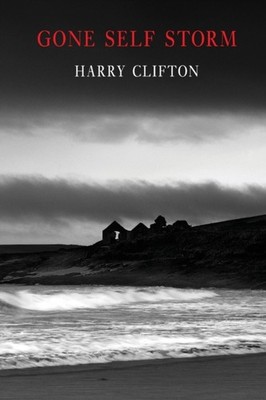 GONE SELF STORM by Harry Clifton Paperback Self Help Business
