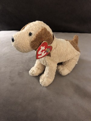 ty dog teddy