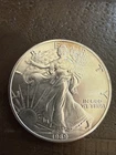 1989 American Silver Eagle $1 1 oz .999 Fine Silver Coin Slight Toning