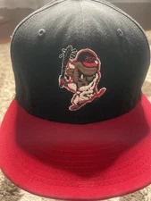 BSF Bisons Hat Griselda Records Snapback Rare Hip Hop Streetwear Cap Vintage