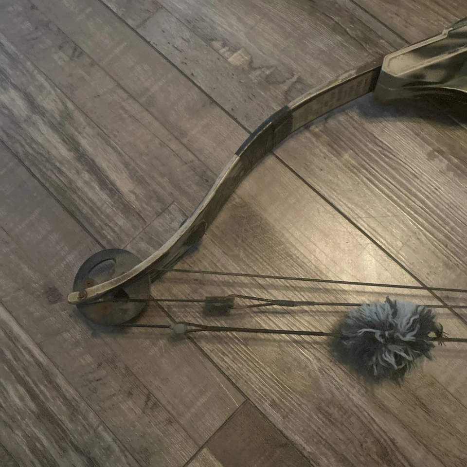 Arco compuesto para mano derecha Golden Eagle Predator Foto 2 de 4