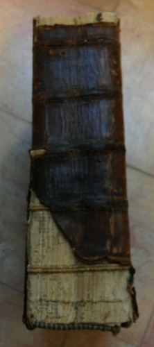 CANON AND ROMAN LAW 1539 - BERTACHINUS JOANNES 1539 FORT VOL PETIT FOLIO - Picture 7 of 8