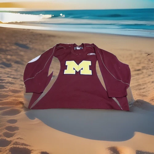 GAME WORN REEBOK  MICHIGAN WOLVERINES HOCKEY ( PRACTICE )  JERSEY