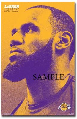 LEBRON JAMES REFRIGERATOR MAGNET LOCKER CHRISTMAS GAG GIFT MAN CAVE LA LAKERS