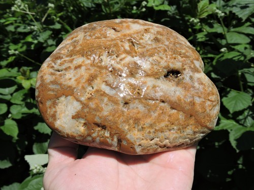 Natural FLAT AGATIZED Rhyolite Quartz Cobble Nodule (3 pounds) FRESH FIND 2025! - Picture 14 of 24