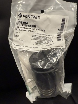 Pentair A&A Manufacturing 236704 G2 Adjustable Black Infloor Cleaning Head