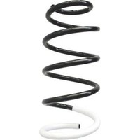 Spidan 86710 Fahrwerksfeder FüR Peugeot Citroen Fiat Scudo Expert Tepee Jumpy