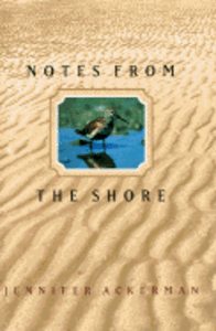 Notes-from-the-Shore-New
