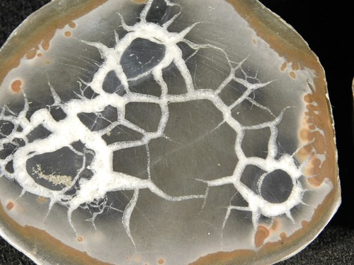 TWO! Larger Cut and Polished SEPTARIAN Nodules From Morocco 391gr - Picture 10 of 12